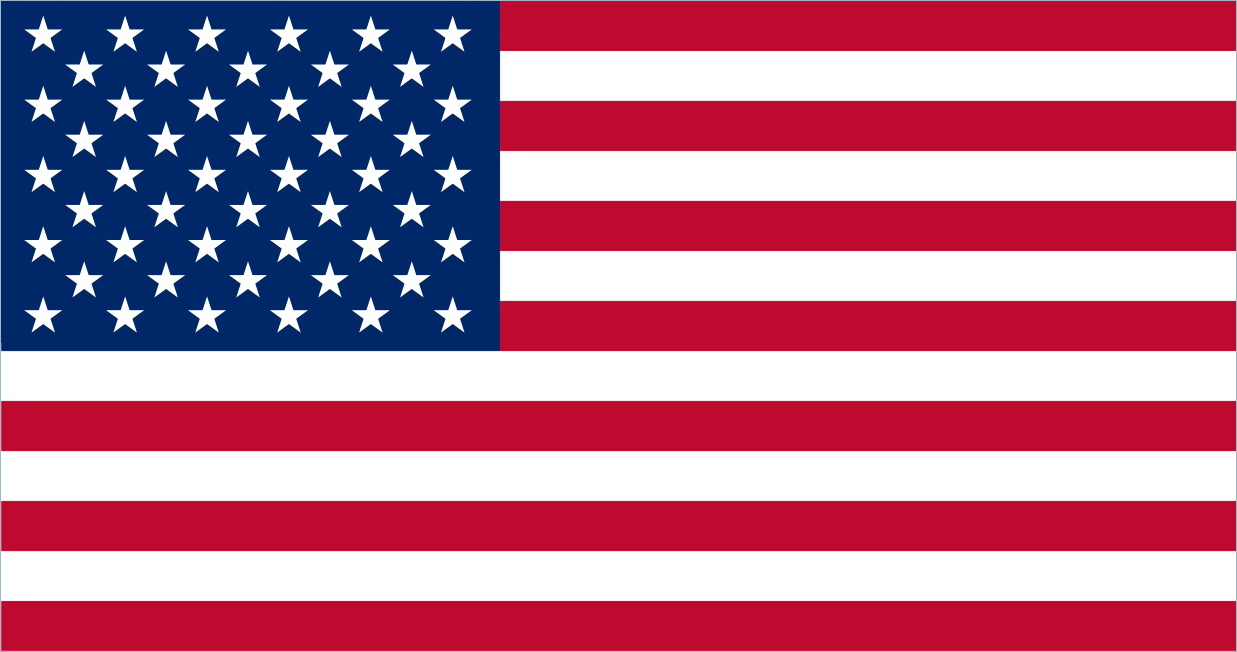 Usa flag